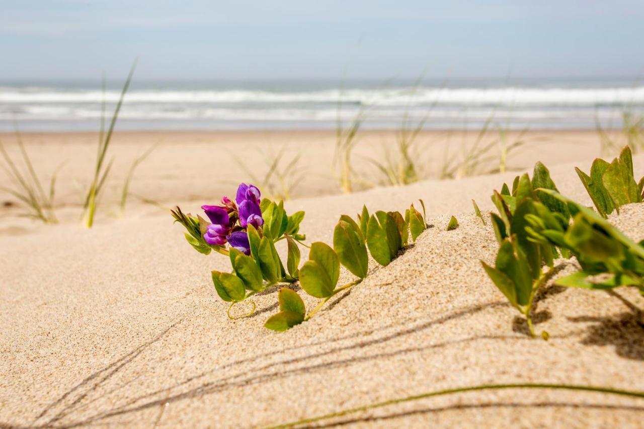 Shearwater Inn Lincoln City Zewnętrze zdjęcie